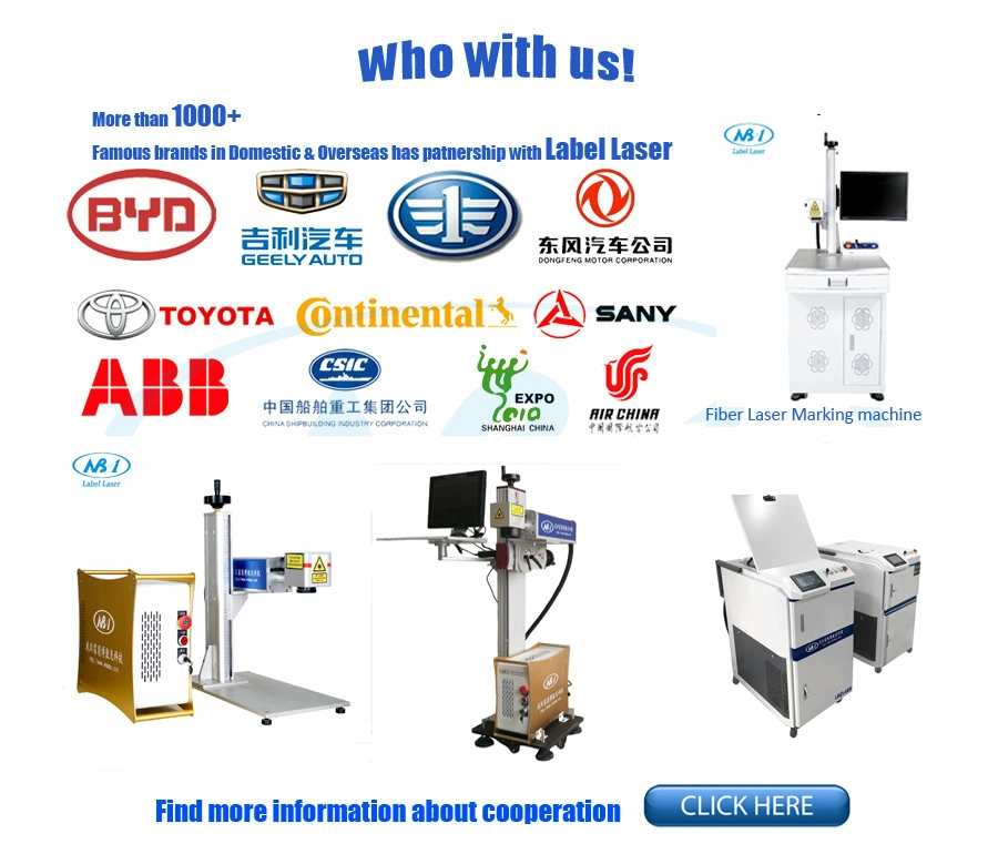 Laser Marking Machine Built-in CCD Vision Camera Position Raycus 20W 30W 50W Laser for Jewellery Metal